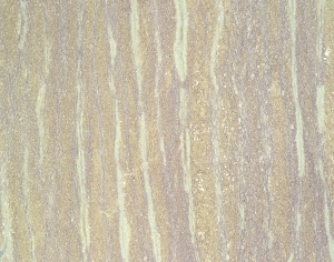 ModernMarble Tiles