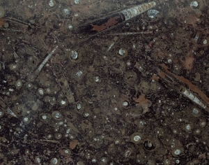 ModernMarble Tiles