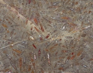 ModernMarble Tiles