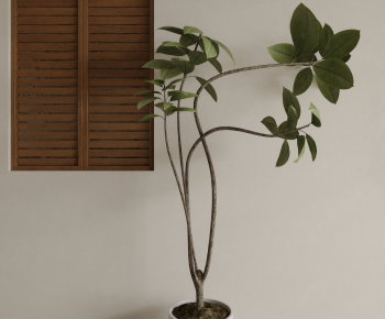 Modern Ground Green Plant Potted Plants-ID:576256042