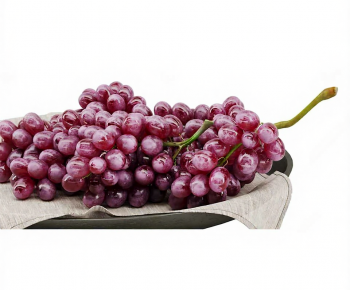 Modern Fruit-ID:269739693