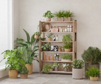 Modern Ground Green Plant Potted Plants-ID:772383937