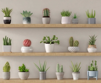 Modern Potted Green Plant-ID:141542912