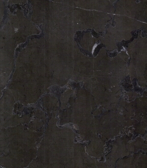ModernMarble Tiles