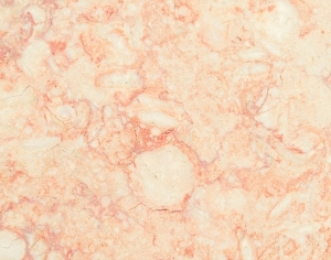ModernMarble Tiles