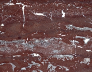 ModernMarble Tiles