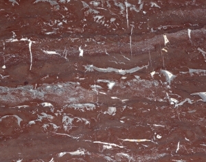 ModernMarble Tiles