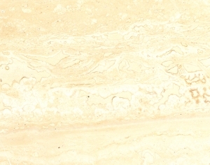 ModernMarble Tiles