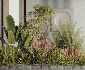 Modern Plant Landscaping-ID:798949005