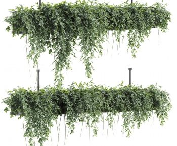 Modern Vine-ID:239114056