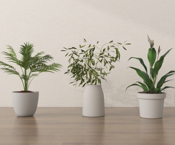 Modern Potted Green Plant-ID:127090938