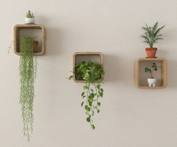 Modern Chlorophytum Comosum-ID:846369986