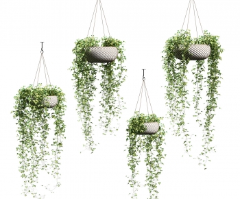 Modern Chlorophytum Comosum-ID:100050043