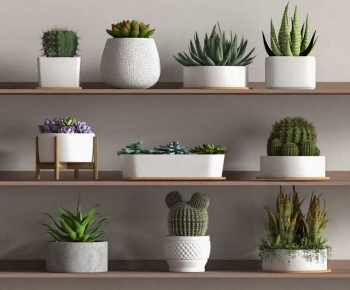 Modern Potted Green Plant-ID:157735112