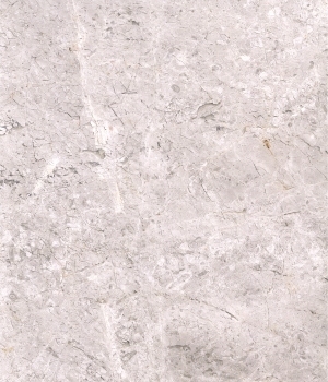 ModernMarble Tiles