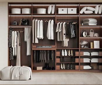 Modern Clothes Storage Area-ID:804132943