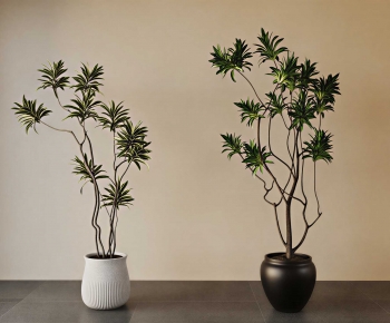 Modern Ground Green Plant Potted Plants-ID:508330119