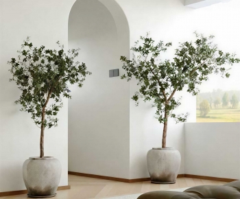 Modern Ground Green Plant Potted Plants-ID:179317004