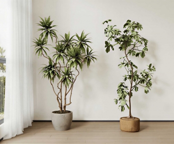 Modern Ground Green Plant Potted Plants-ID:372437953