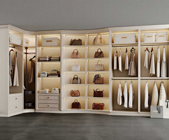 French Style Clothes Storage Area-ID:913835057
