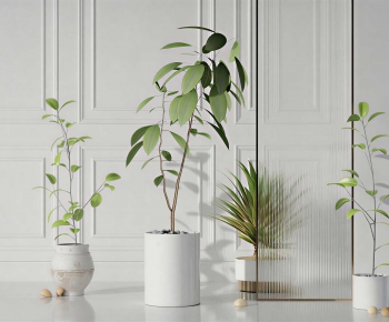 Modern Ground Green Plant Potted Plants-ID:952281953