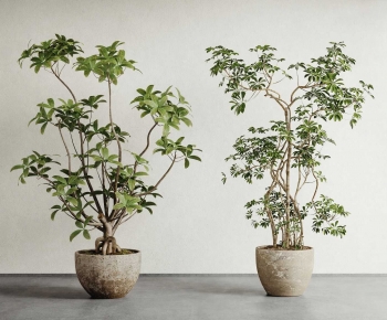 Modern Ground Green Plant Potted Plants-ID:731786972