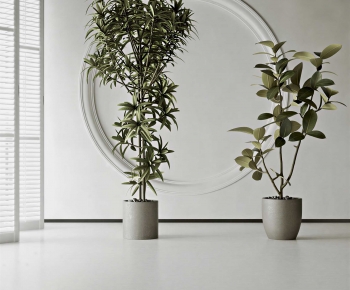 Modern Ground Green Plant Potted Plants-ID:609019997