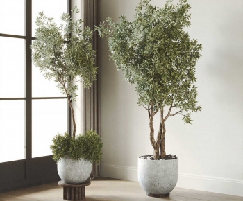 Modern Ground Green Plant Potted Plants-ID:646902089