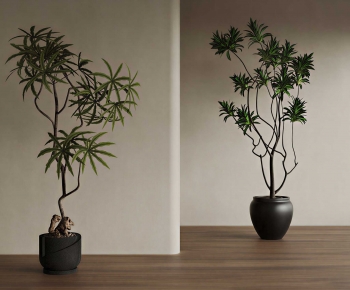 Wabi-sabi Style Ground Green Plant Potted Plants-ID:207662118