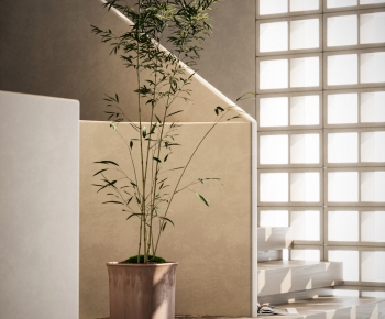 Modern Ground Green Plant Potted Plants-ID:184051999