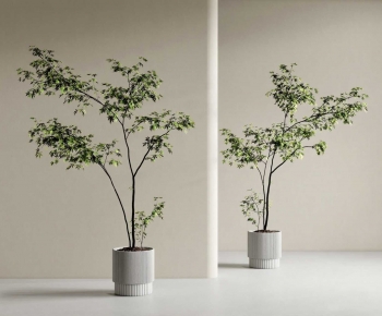 Modern Ground Green Plant Potted Plants-ID:578172921