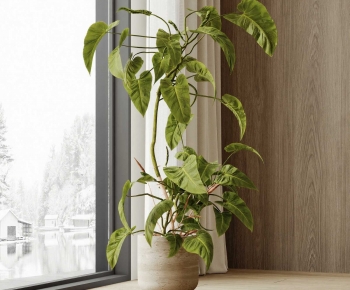Modern Ground Green Plant Potted Plants-ID:753098011