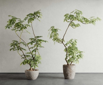 Modern Ground Green Plant Potted Plants-ID:613089086