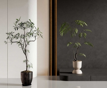 Modern Ground Green Plant Potted Plants-ID:362603906