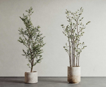 Modern Ground Green Plant Potted Plants-ID:902604109