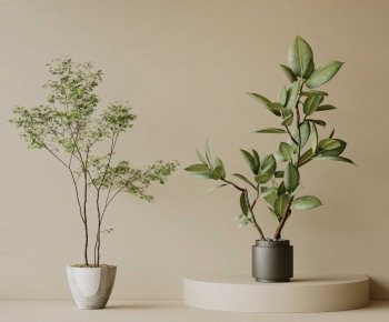 Modern Ground Green Plant Potted Plants-ID:286804912