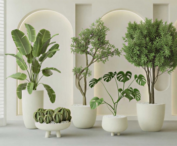 Modern Ground Green Plant Potted Plants-ID:876895907