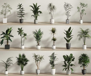 Modern Ground Green Plant Potted Plants-ID:241978881