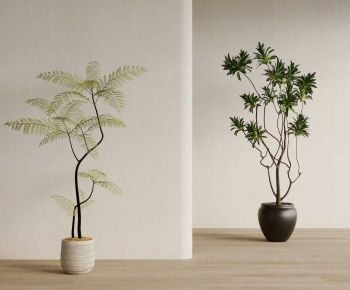 Wabi-sabi Style Ground Green Plant Potted Plants-ID:330315113