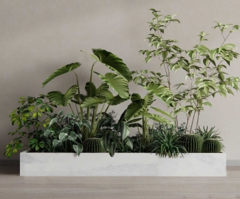 Modern Flower Bed, Flower Bowl, Flower Box-ID:116168024