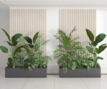 Modern Flower Bed, Flower Bowl, Flower Box-ID:737904074