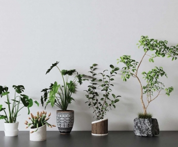 Modern Ground Green Plant Potted Plants-ID:731488945