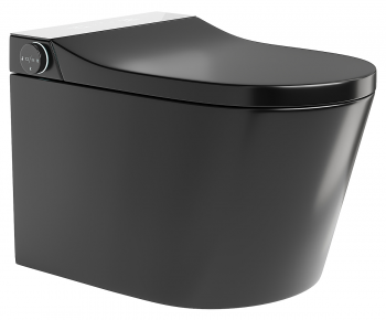 Modern Toilet-ID:953737021