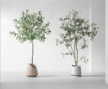 Modern Ground Green Plant Potted Plants-ID:163749931