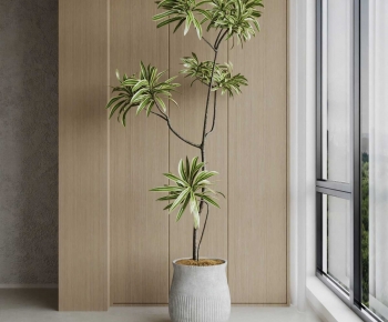 Modern Ground Green Plant Potted Plants-ID:463116882