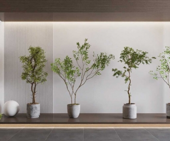 Modern Ground Green Plant Potted Plants-ID:382126094