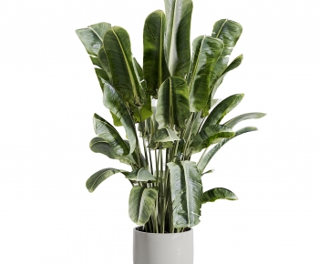 Modern Ground Green Plant Potted Plants-ID:581897028