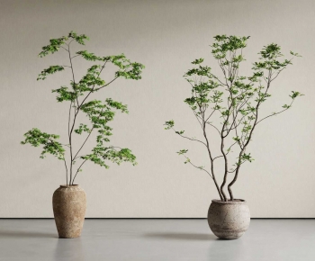 Modern Ground Green Plant Potted Plants-ID:938205005