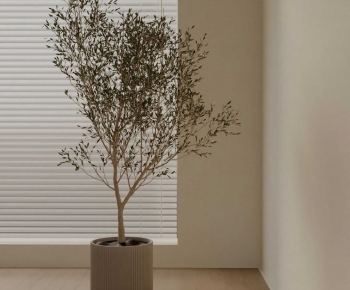 Modern Ground Green Plant Potted Plants-ID:952104091