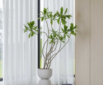 Modern Ground Green Plant Potted Plants-ID:783612011